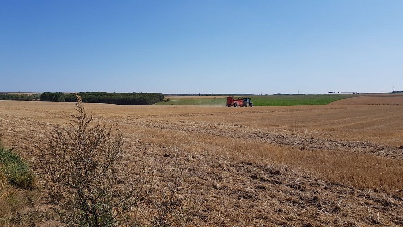 Le Chemin du Maresquay