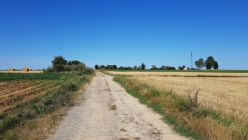 Le Chemin du Maresquay
