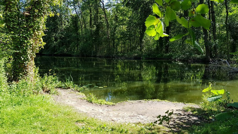 Le Chemin du Maresquay