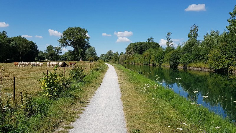 Le Chemin du Maresquay