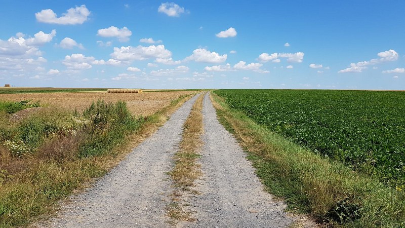 Le Chemin du Maresquay