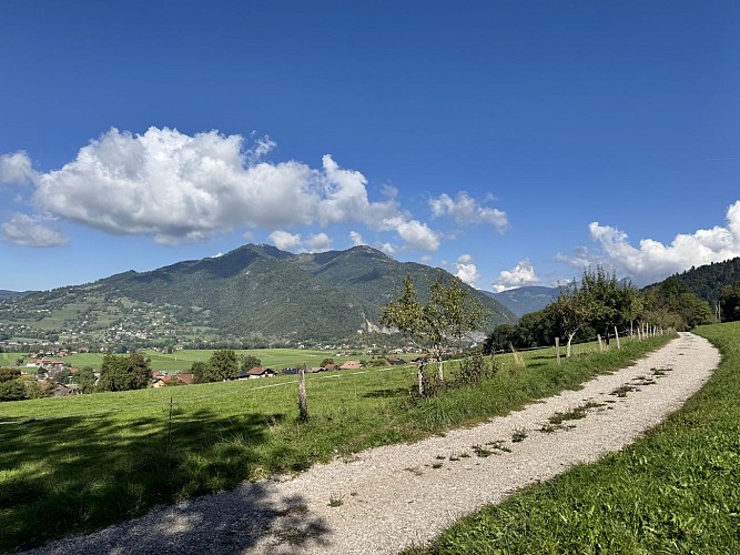 Hiking trail - Les Balcons des Grands Prés -Tour number 2_Marcellaz