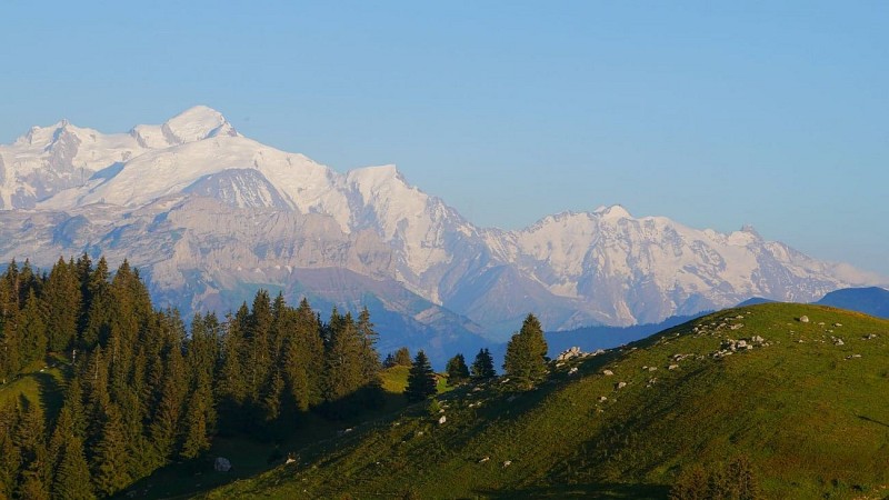 Point de vue sur le Mont Blanc