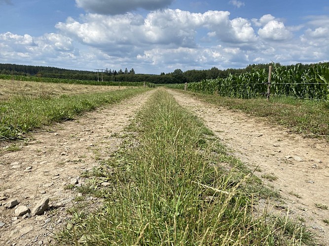 Sport pour tous en été - Carlsbourg