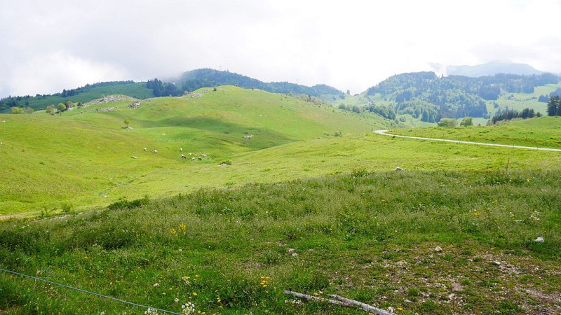 Sentier de randonnée - Tour de Miribel