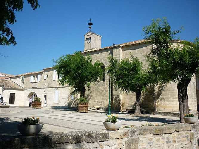 TERRE DE MUSCAT ET DE BOUVINE