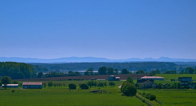 Vue sur l'étang de Lindre