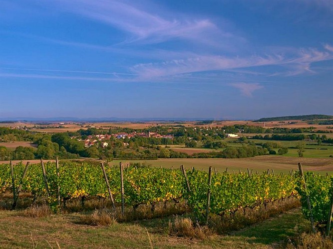 Entre Vic-sur-Seille et Salonnes