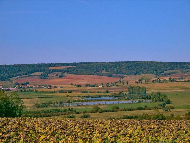 Vue depuis la crête du rond bois