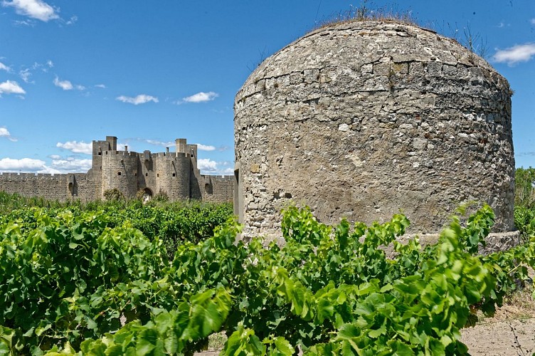 VINS ET MÉDITERRANÉE