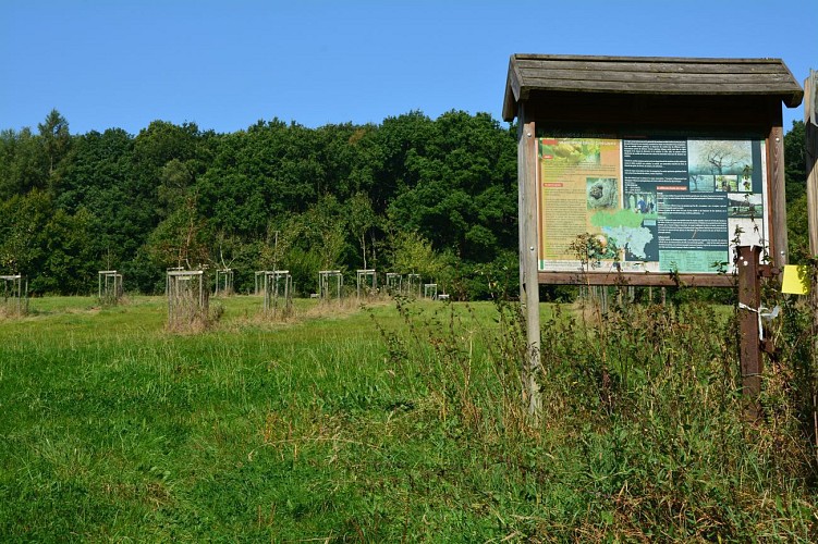 Paysages entre Tiges et Chavées | Sorinne-la-Longue