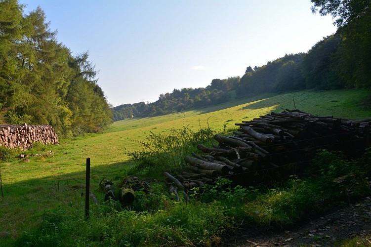 Paysages entre Tiges et Chavées | Sorinne-la-Longue