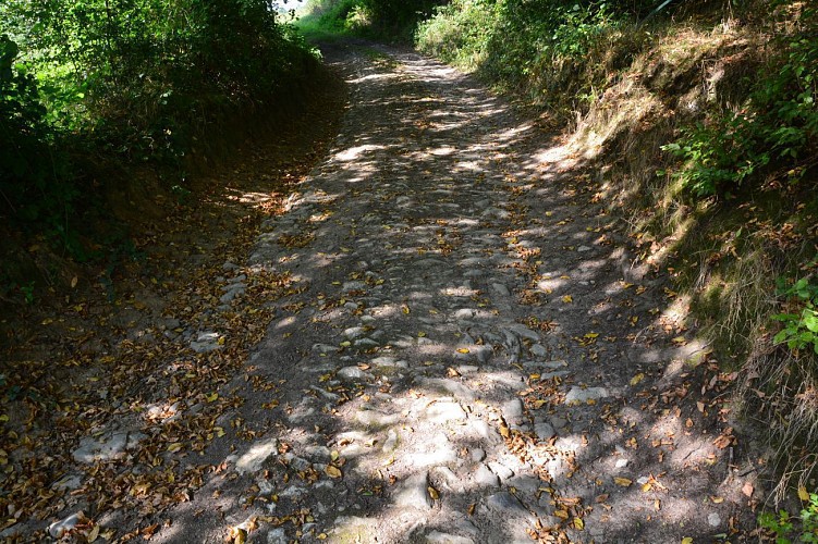Paysages entre Tiges et Chavées | Sorinne-la-Longue