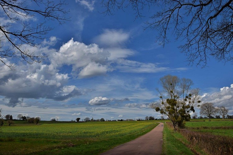 Chemin dans le bocage