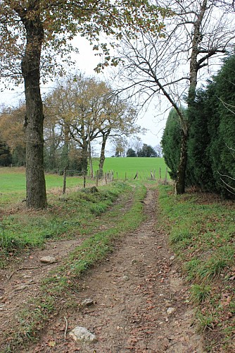 Sentier des Raynauds