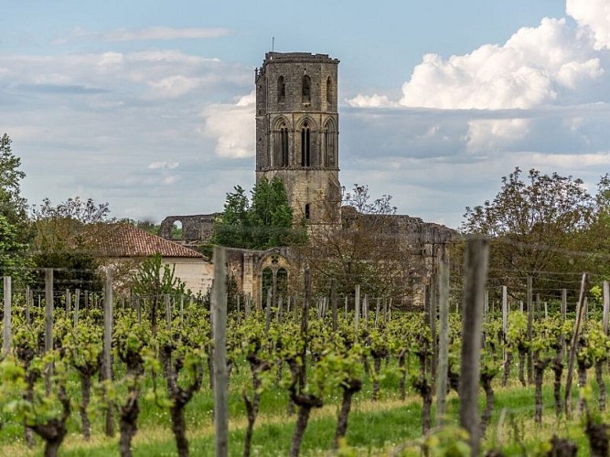 La Sauve Majeure (1)