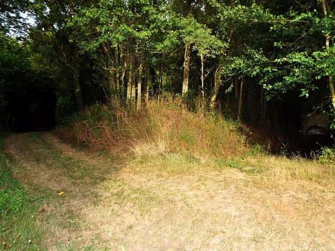 Randonnée pédestre à Saint-Martin-des-Bois