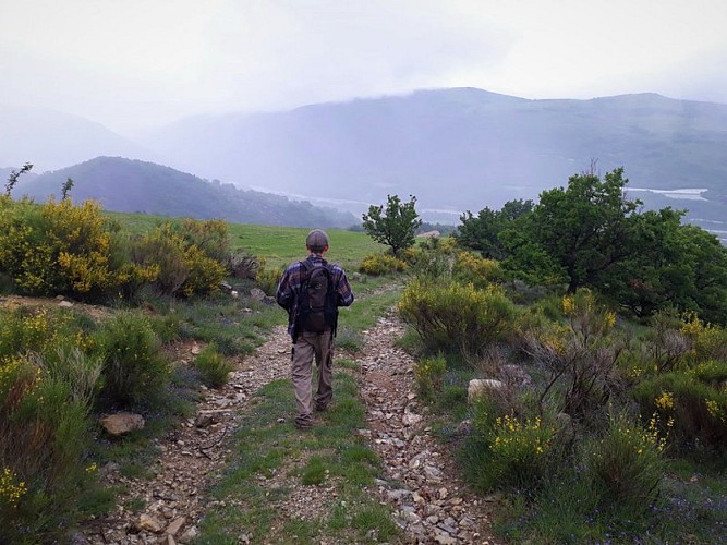 Hiking trail "Le bois de Buche"