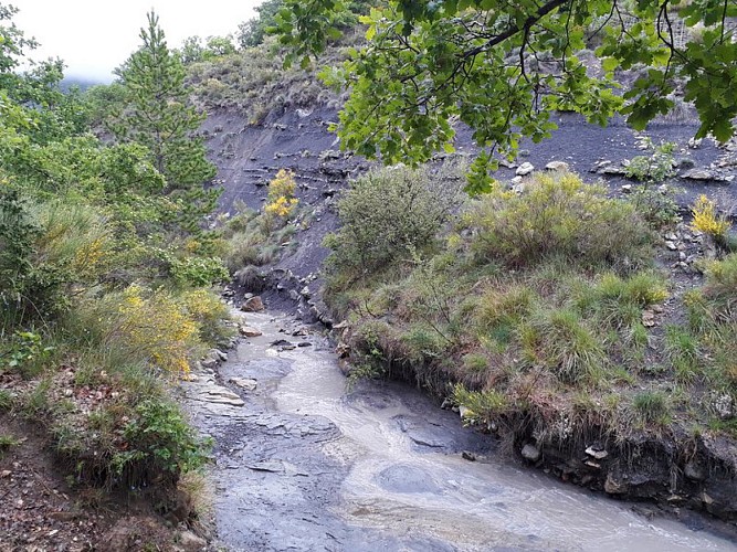 Hiking trail "Le bois de Buche"