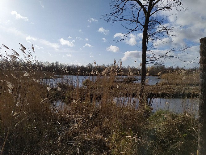 The marshes of Essonne by bike