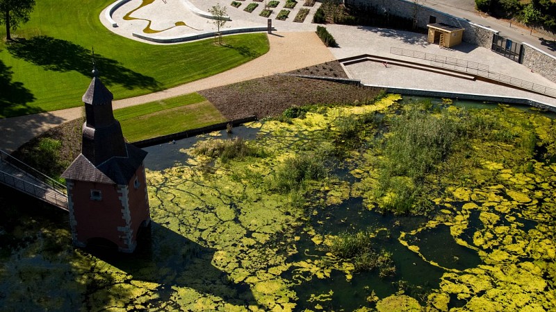 F P AER 19 FLO Colombier 004