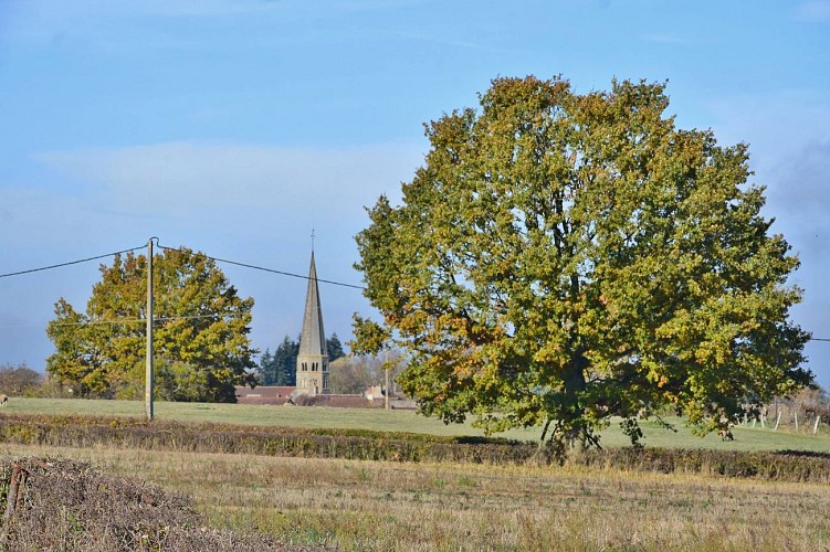 Vue d'un chemin de campagne