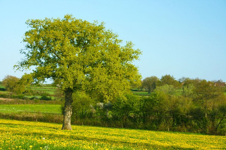 Circuit "Les Quatre Vents"