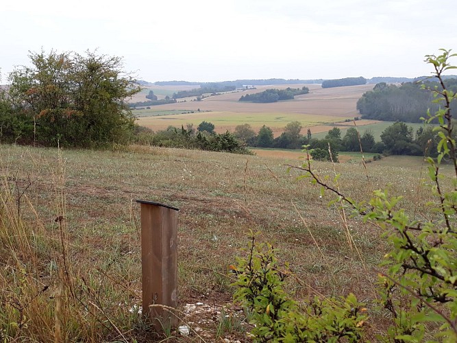 Sentier botanique du Mont à Fresne St Mamès