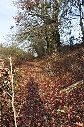 Sur les pas des Lémovices_4