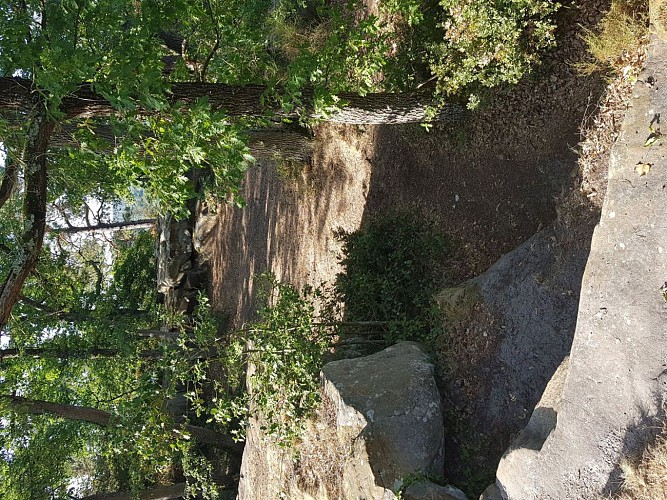 Point de vue du camp de Chailly