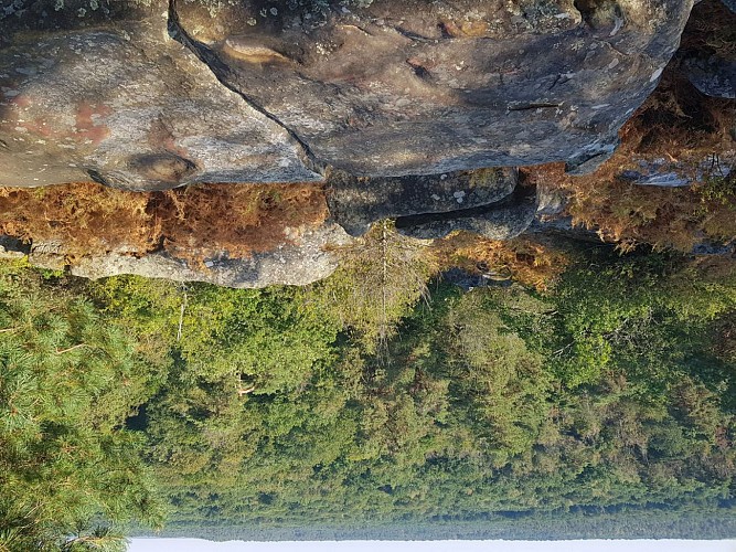 Point de vue du camp de Chailly