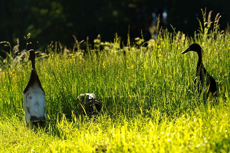 MtND_FrancWaret_01062021_016