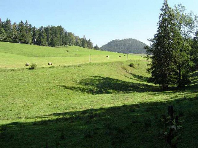 Les Gras - le Nid du Fol - le mont Châteleu