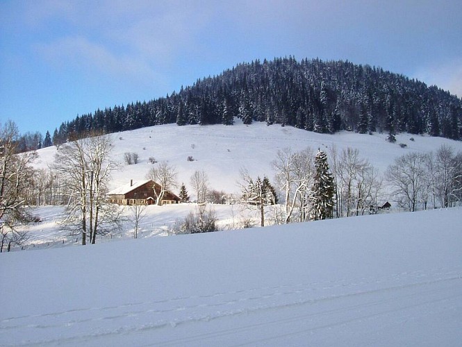Les Gras - le Nid du Fol - le mont Châteleu