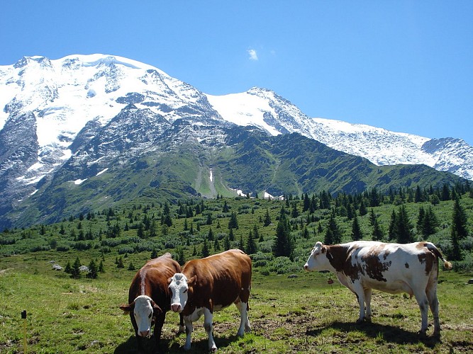 La Gruvaz - Le Truc - Alpage de Miage