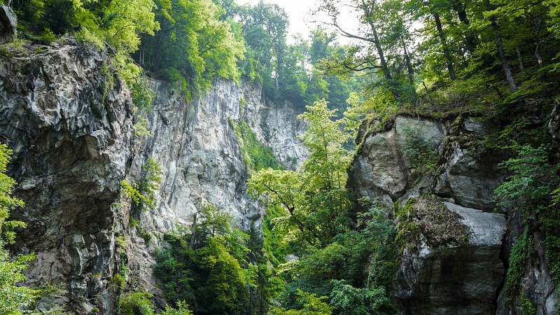 Le parc thermal et sa passerelle_Saint-Gervais-les-Bains