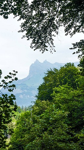 Le parc thermal et sa passerelle_Saint-Gervais-les-Bains