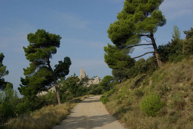 Tour Sarrasine en vue