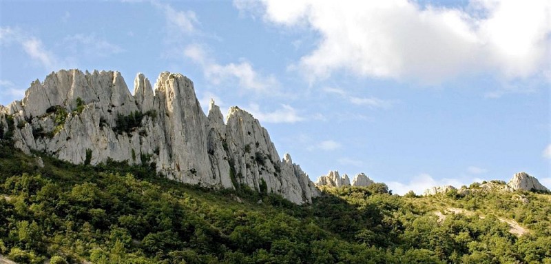 Dentelles de Montmirail
