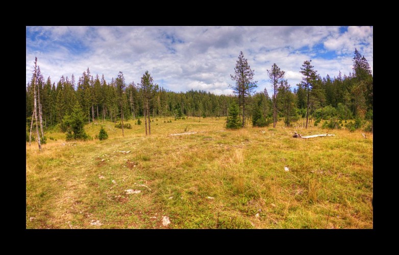 Plaine de Combe Noire