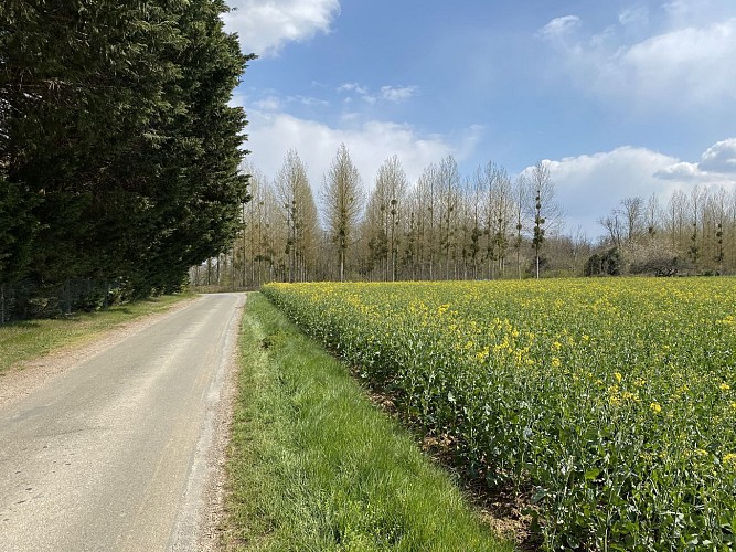 Weg des Saint Colomban