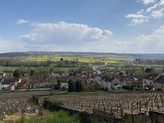 Weg des Saint Colomban