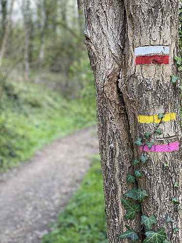 Chemin de Saint Colomban