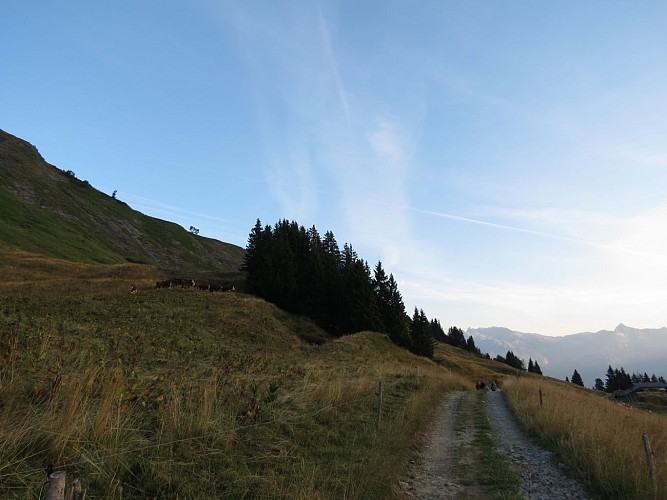 L'Alpage de Porcherey