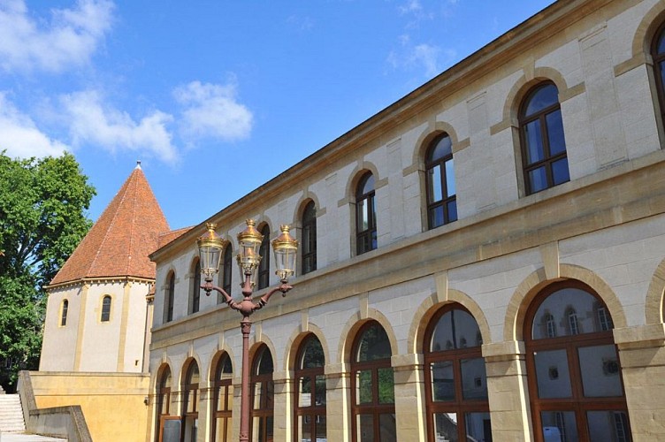 Van tuinen tot muziek