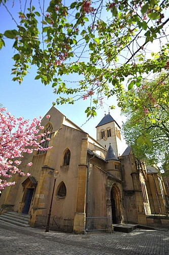 Outre Seille district