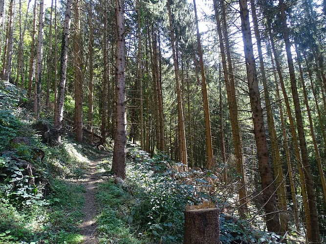 Le sentier du Berchat