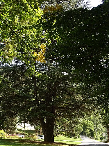 Le sentier du Berchat