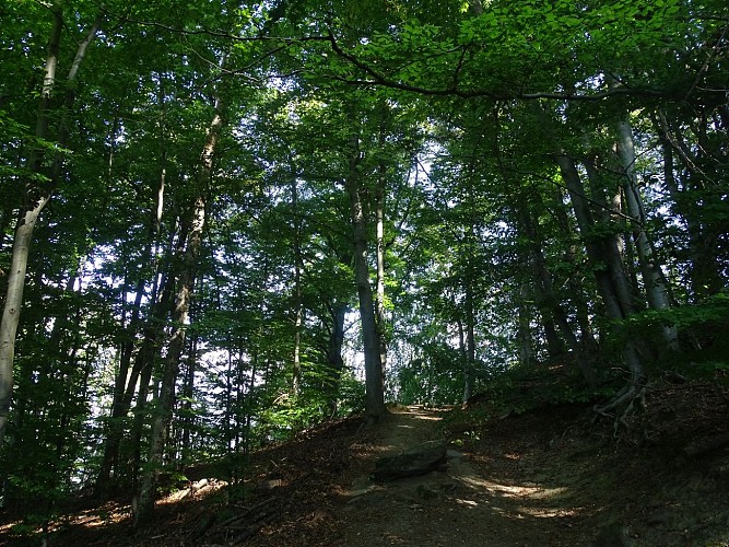 Le sentier du Berchat