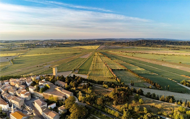 Paysage aérien de Montady - Canal du Midi 
